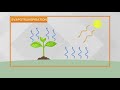 Understanding Dew Point and Humidity