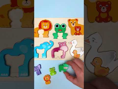 Did You Know These Baby Animal Facts? 🐾🍼 #shorts #kids #kidslearning