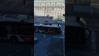 fotky z Dožínek Pardubice