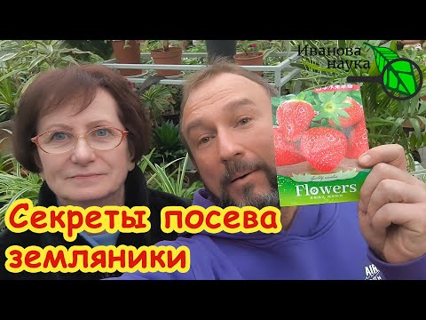 ЗЕМЛЯНИКА (КЛУБНИКА) ИЗ СЕМЯН - ЭТО ОЧЕНЬ ПРОСТО! Как вырастить урожайную клубнику из семян.