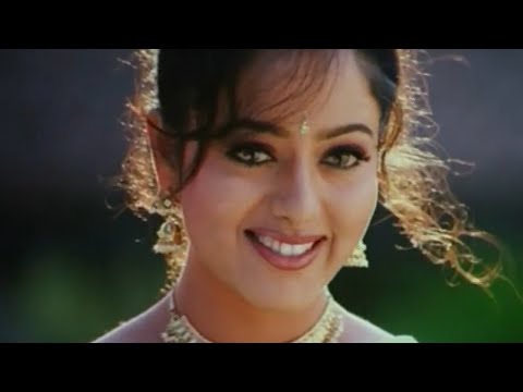 Soundarya Try to Impress Nagarjuna Best Scene || Telugu Movie Best Scenes || Shalimar Movies