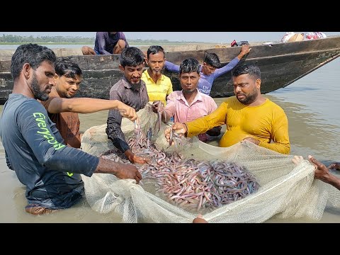 Fishing in River Bangladesh। নদীতে হেটে আপনি ধরতে পারবেন ২০/৪০ কেজির বেশি চেউয়া মাছ। New Video 2025