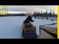 Challenges and Experiences in Dog Training