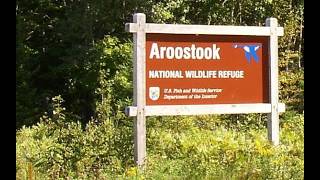 The East Loring Weapons Storage Area - A Legacy of Contamination & Neglect