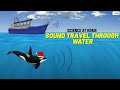 Sound Transmission Through Water Experiment