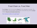 Keystone Species and Ecosystem Dynamics
