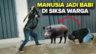 VIRAL !! PULUHAN WARGA KEROYOK SATU ORANG DI CURIGAI SEBAGAI BABI NGEPET