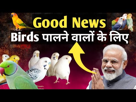 Parivesh Portal for Birds Lover Registeration Information