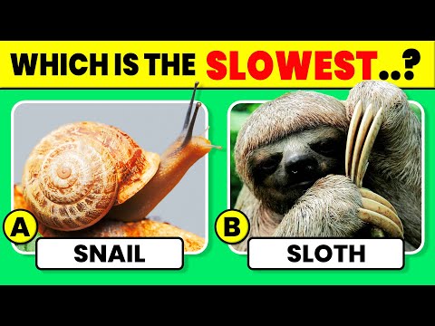 Only 1% Can Pass This Animal Quiz! 🦁🧠 | General Knowledge Challenge