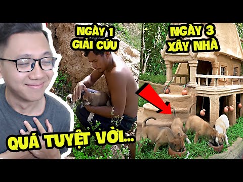 Họ Giải Cứu Chó Con Bị Bỏ Rơi Và Xây Nhà Trong Rừng Cho Chúng!