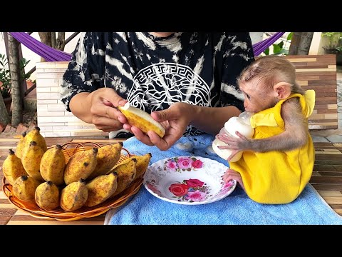 Mom Slicing Ripe Banana Feeding Lil Jessi