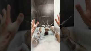 Have an everything bath with me 👀