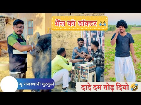 भैंस को डॉक्टर 😂// दादे दम तोड़ दियो 🤣// शेर को टैटू 🤣// न्यू राजस्थानी चुटकुलें @TrilokChoudhary