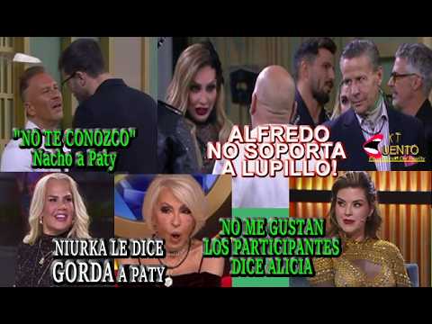 La Casa de los Famosos All Stars DIA 1 NIURKA DICE GORDA A PATY/ NACHO DICE QUE NO LA CONOCE