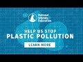 Impact of Plastic in Oceans