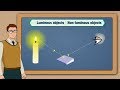 Luminous and Non-Luminous Objects