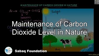 Maintenance of Carbon Dioxide Level in Nature