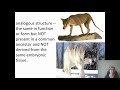 Exploring Evidence of Evolution