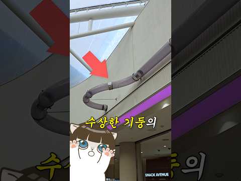 수상할 정도로 미래적인 ㄷㄷ