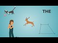 Morphemes and Their Functions