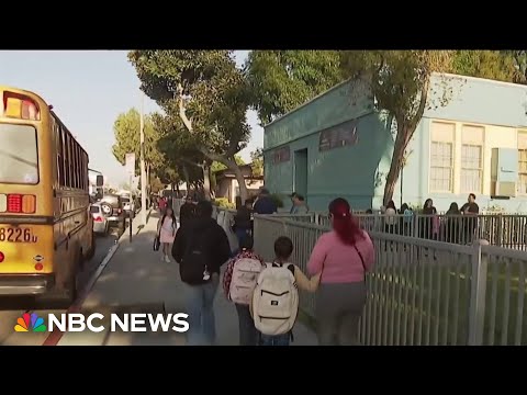 YouTube video thumbnail: L.A. Educators Worry About how ICE Raids may Impact Students