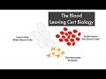 Blood Components and Functions