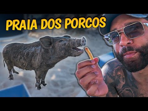 ESSA PRAIA É CHEIA DE PORCOS! DIVIDI MEU LANCHE COM ELES 😂