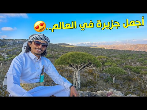 وأخيرا رحلتي كاملة الى جزيرة سقطرى اليمنية من البداية لنهاية ـ Socotra Island