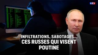 Infiltrations, sabotages : ces Russes qui visent Poutine｜LCI