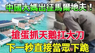 中國大媽出征馬爾地夫！搶蛋抓天鵝扛大刀，下一秒直接當眾下跪道歉#風華絕代#中年大媽#搶雞蛋