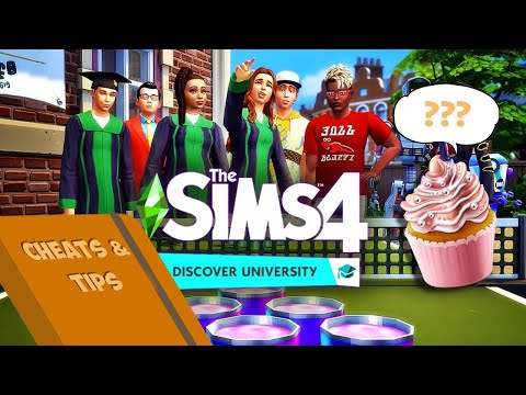 in the sims 4 for mac how do the kid do homework