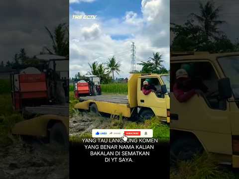 Di luar nalar truknya mala di ceburin ke sawah. #shorts
