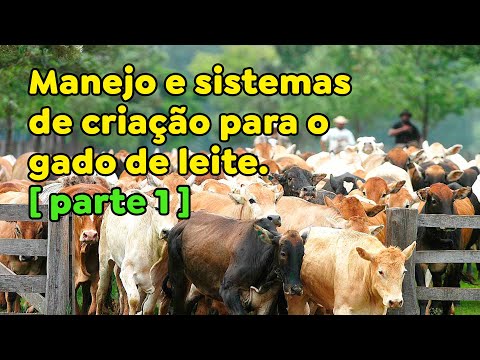 Manejo e sistemas de criação para o gado de leite [ parte 1 ]