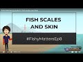 Fish Scales and Coloration Concepts