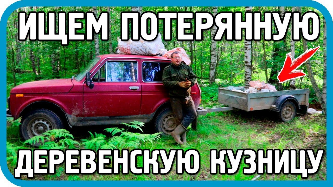 НАЧАЛИ ВЫВОЗИТЬ ДЕНЬГИ ИЗ ЛЕСА НАШЛИ ШИКАРНЫЙ СХРОН