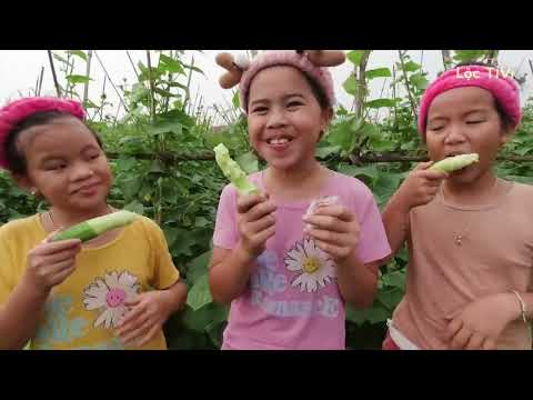 RỦ NHAU ĐI ĂN DƯA CHUỘT | TUỔI THƠ DỮ DỘI | Lộc TiVi