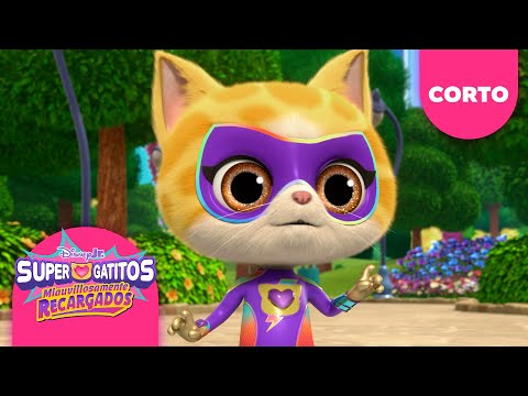 ¡Sparks hace surf en cochecito! | Supergatitos: Miauvillosamente Recargados | Corto