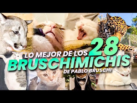 LO MEJOR DE LOS BRUSCHIMICHIS 28 - PABLO BRUSCHI