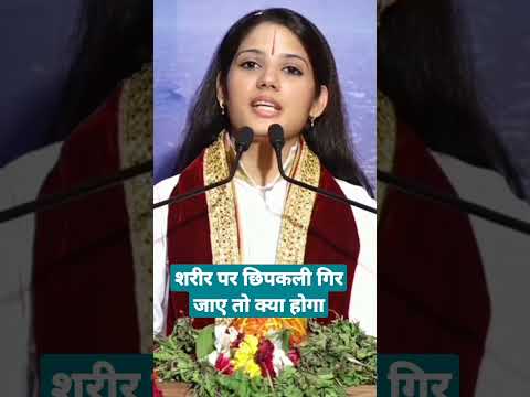 शरीर पर छिपकली गिर जाए तो क्या होता है