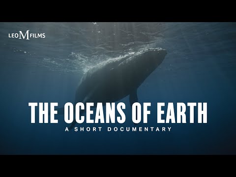 THE OCEANS OF EARTH| A Short Documentary