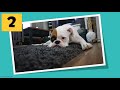 Understanding Area and Perimeter