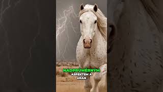 Páté znamení: Svět v chaosu, ty v síle! 🌪️✨