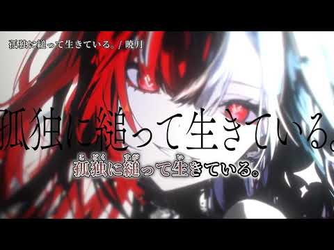 【ニコカラ】孤獨に縋って生きている。【off vocal】