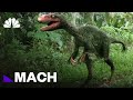 Dinosaur DNA and Genetic Engineering