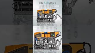 ROV SuBastian Livestreams Deep Sea Marine Life