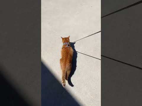 GARY’S FIRST TIME OUTSIDE