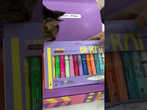 GANHEI UMA CAIXA MISTERIOSA DE MATERIAL ESCOLAR - @JuliaMoraess #shorts #materialescolar2023