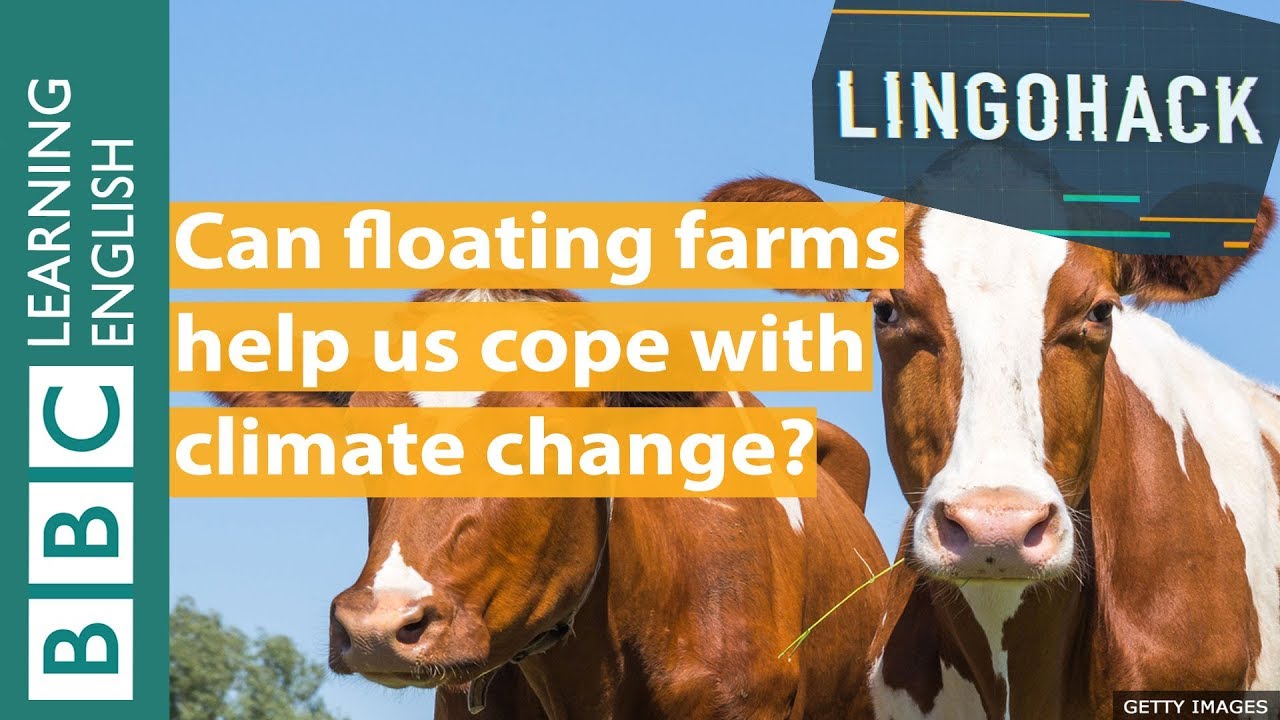 Can floating farms help us cope with climate change? Watch Lingohack