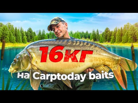 Carptoday Baits 3: Поймали крупного карпа за 24 часа на диком водоёме