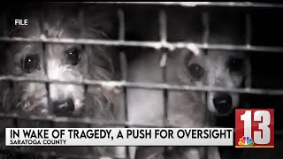 Saratoga County district attorney candidate prioritizing animal protection